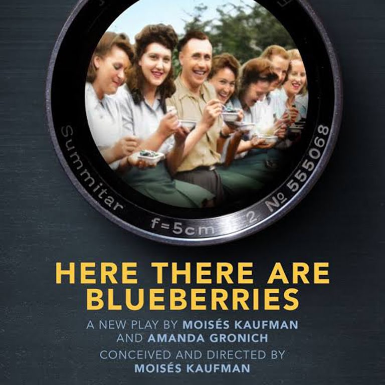 Here There Are Blueberries